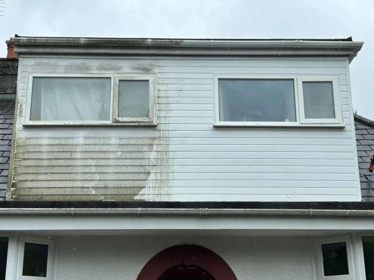 Cladding Before and After cleaning by In The Gutter South Devon
